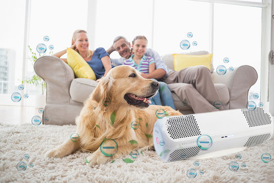 ضدعفونی کننده هوا ABS با قالب خصوصی ویروس های آنفولانزا H1N1 باکتری ها قارچ ها OEM/ODM