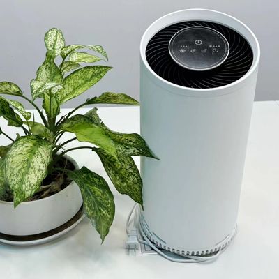 تصفیه کننده هوا با پلازما سرد HEPA با فیلتر کربن فعال 36W حداکثر قدرت 220V ولتاژ