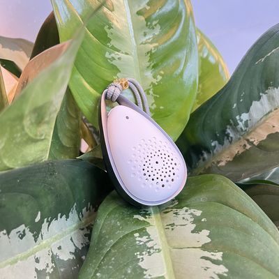 تصفیه کننده هوا با اندازه کوچک برای تعقیم ایمن و سازگار با محیط زیست